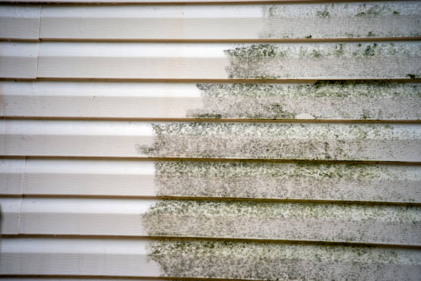 Best Property Management Cleanouts  in Agency Village, SD